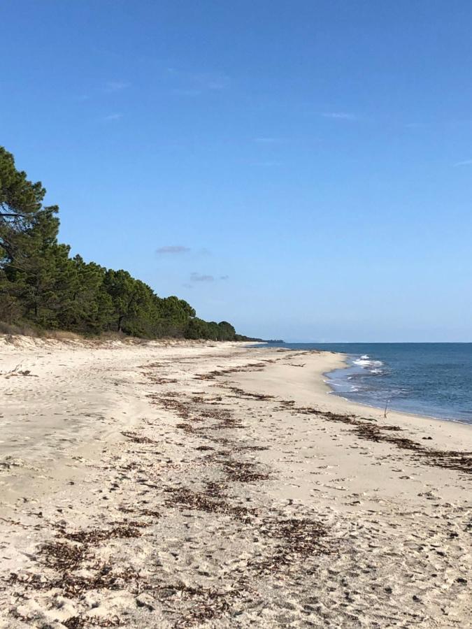 Villa Butia San-Gavino-di-Fiumorbo Esterno foto